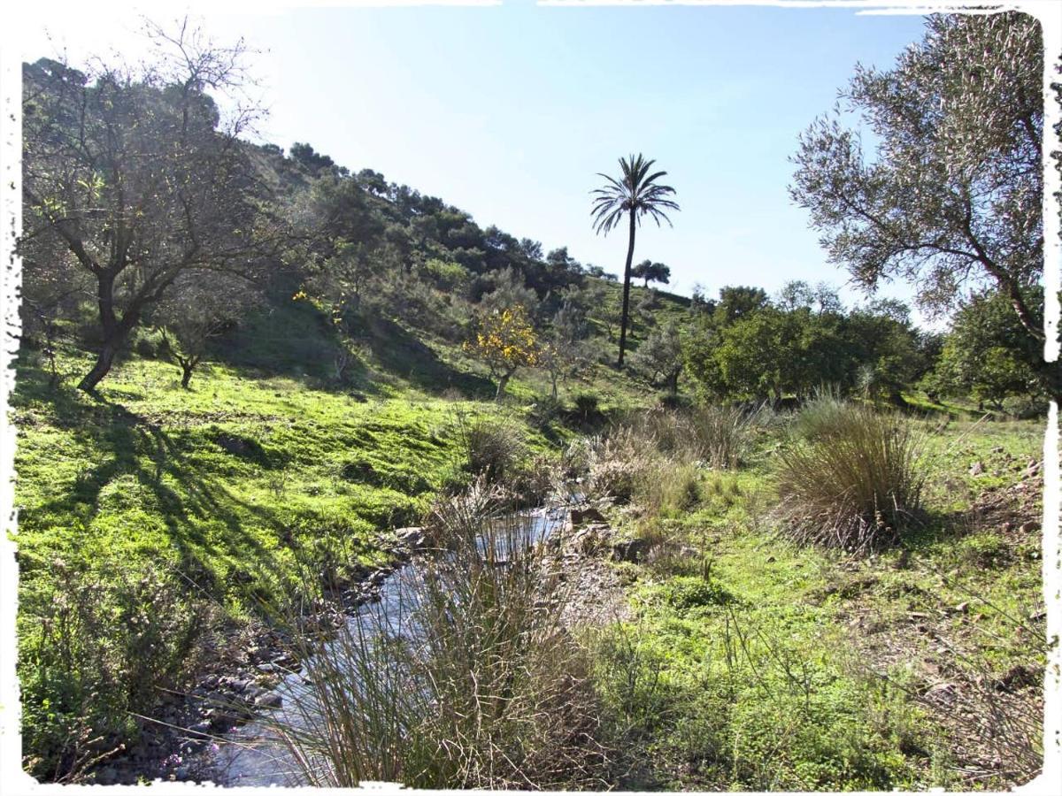 فيلا Cortijo Casas Viejas مالقة المظهر الخارجي الصورة