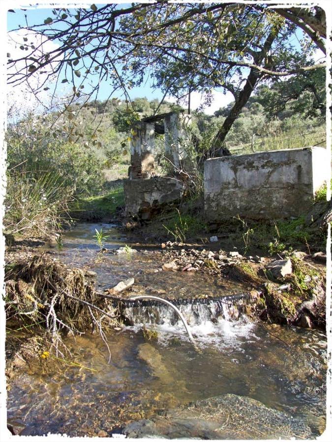 فيلا Cortijo Casas Viejas مالقة المظهر الخارجي الصورة